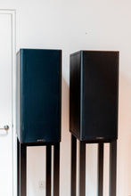 Load image into Gallery viewer, PMC IB2 Passive Monitors &amp; PMC Stands