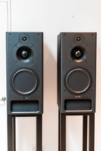 Load image into Gallery viewer, PMC IB2 Passive Monitors &amp; PMC Stands