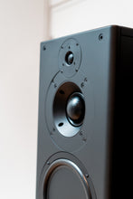 Load image into Gallery viewer, PMC IB2 Passive Monitors &amp; PMC Stands