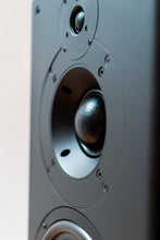 Load image into Gallery viewer, PMC IB2 Passive Monitors &amp; PMC Stands
