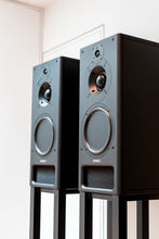 Load image into Gallery viewer, PMC IB2 Passive Monitors &amp; PMC Stands