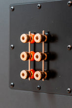 Load image into Gallery viewer, PMC IB2 Passive Monitors &amp; PMC Stands