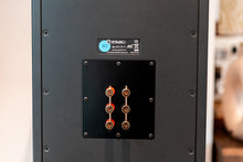 Load image into Gallery viewer, PMC IB2 Passive Monitors &amp; PMC Stands