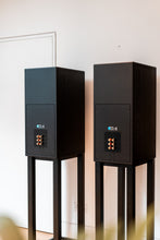 Load image into Gallery viewer, PMC IB2 Passive Monitors &amp; PMC Stands