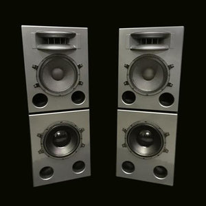 Grey Augspurger Solo-12 MF Speaker system.